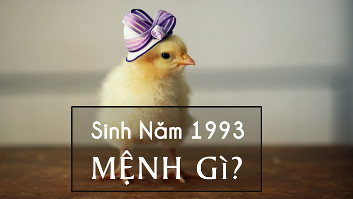 nguoi-sinh-nam-1993-menh-gi_opt